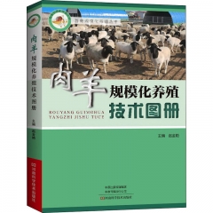 肉羊规模化养殖技术图册